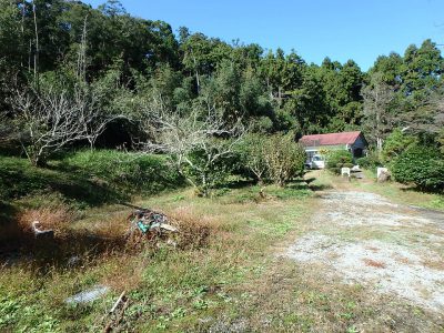 沢沿い広大売地 鴨川市川代 2593㎡(784.38坪) 1580 サムネイル画像1