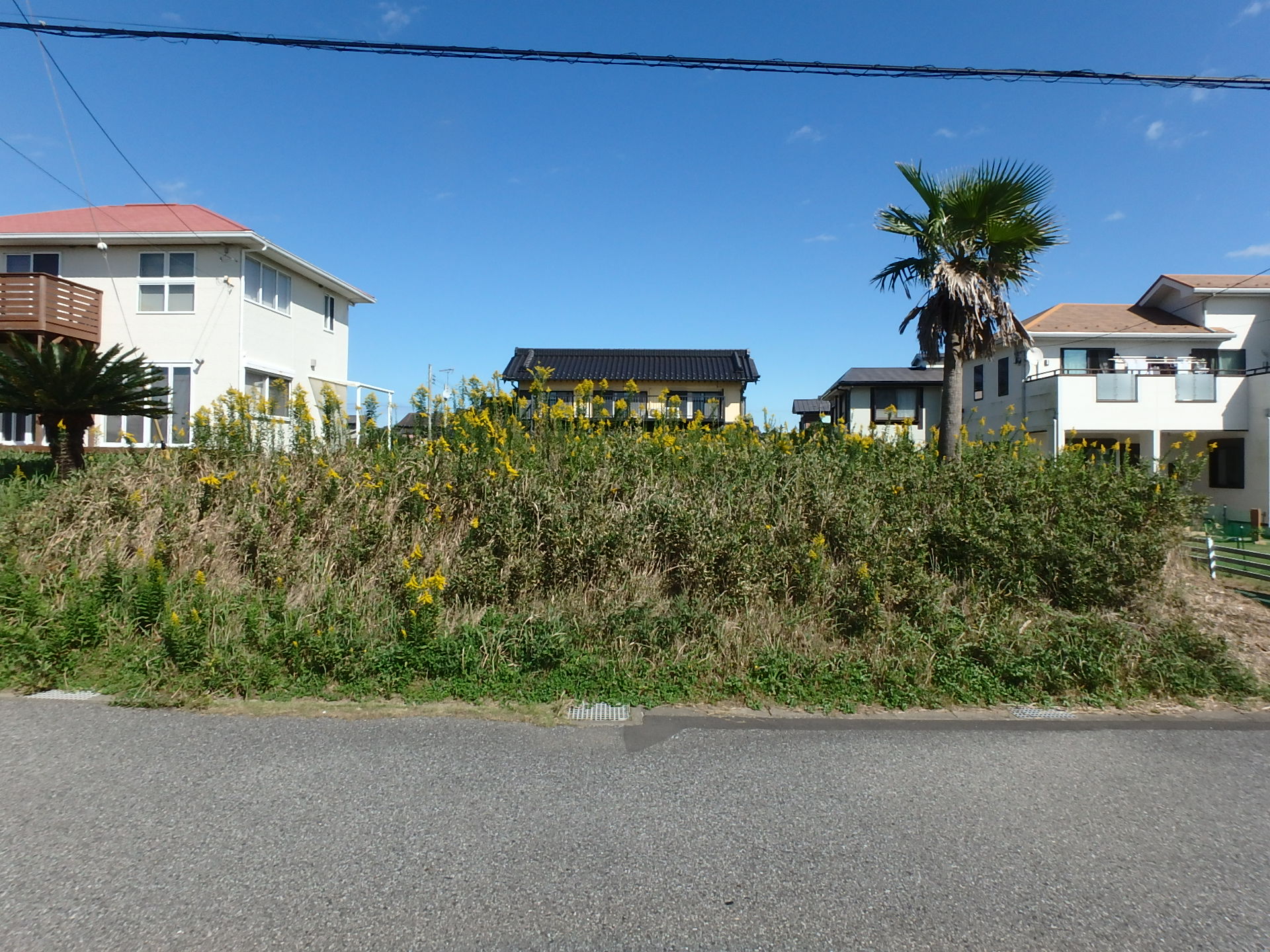 千葉県富津市千種新田の不動産、海が見える土地新着