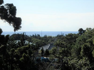 海望売地 南房総市白浜町根本 603.41㎡(182.53坪) 1000万円 サムネイル画像2