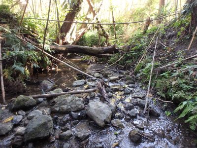 沢沿い広大売地 鴨川市川代 2593㎡(784.38坪) ご成約済 サムネイル画像2