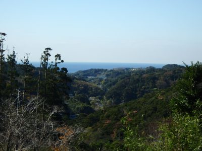 海遠望売ログハウス 館山市岡田 2LDK ご成約済 サムネイル画像2