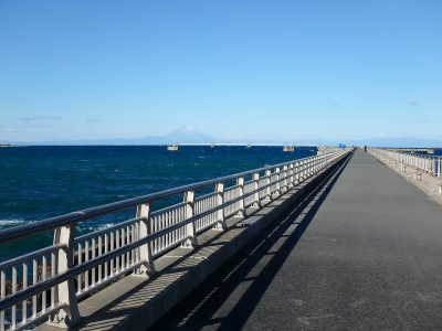 海浜土地 館山市館山 300.81㎡(90.99坪) 1180万円 サムネイル画像2