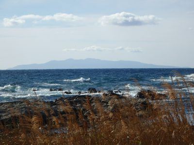 海望広大売地 館山市西川名 2918.18㎡(882.74坪) 6800万円 サムネイル画像2