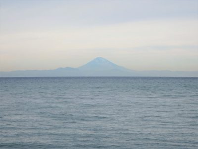 海近売地 館山市北条 692.64㎡(209.52坪) ご成約済 サムネイル画像2