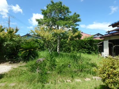 売家 館山市上真倉 4K ご成約済 サムネイル画像2