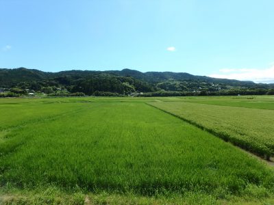 売家 鴨川市太尾 5SLDK 1780万円 サムネイル画像2