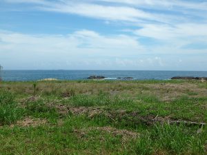 千葉県南房総市千倉町白間津の不動産、海が見える土地、海一望の別荘用地、眺めているだけで癒される