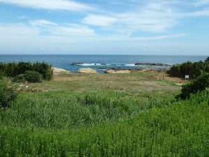 千葉県南房総市千倉町白間津の不動産、海が見える土地、海一望の別荘用地、家が建つとこんな眺望かな