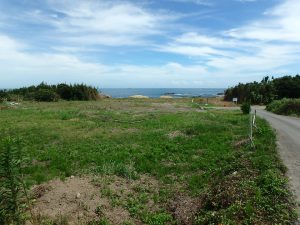 千葉県南房総市千倉町白間津の不動産、海が見える土地、海一望の別荘用地、自然グラデーションが素敵