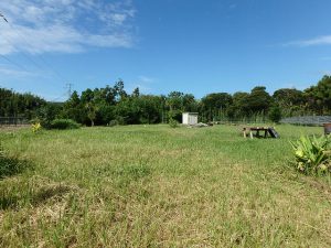 千葉県館山市犬石の不動産、土地、広い土地、別荘用地、ログハウス用地、趣味の拠点として