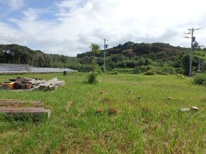 千葉県館山市犬石の不動産、土地、広い土地、別荘用地、ログハウス用地、人目を気にせず過ごせる