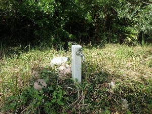 千葉県館山市犬石の不動産、土地、広い土地、別荘用地、ログハウス用地、上水道は引込済み