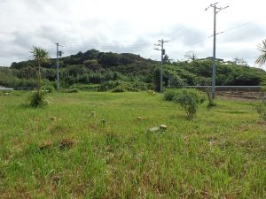 千葉県館山市犬石の不動産、土地、広い土地、別荘用地、ログハウス用地、ＰＶキャンプ用地に