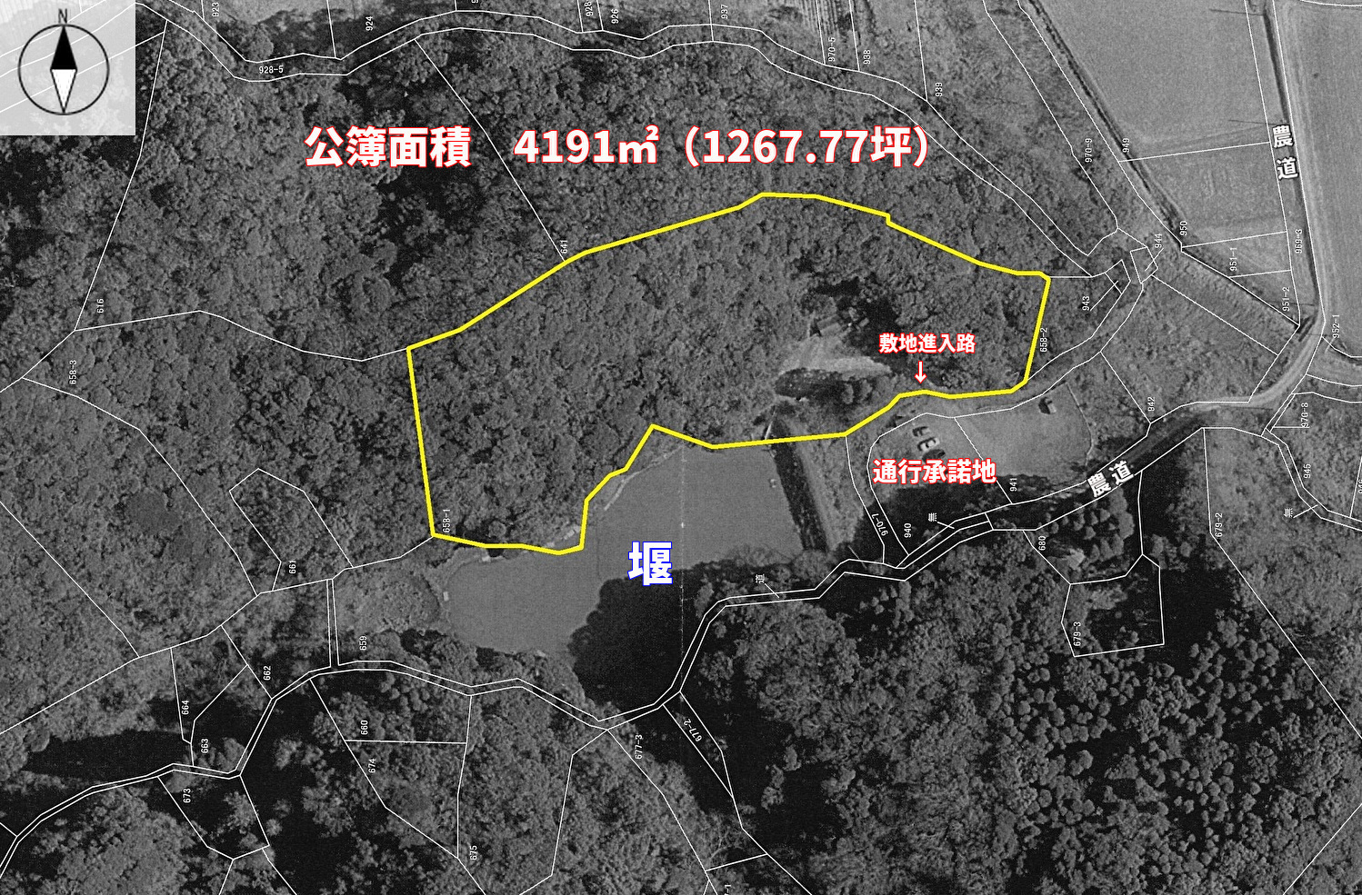千葉県館山市小原の山林、敷地概略図