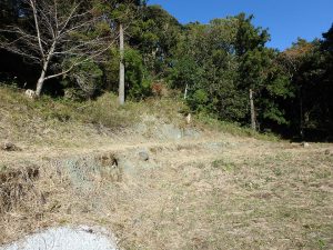 千葉県鴨川市東の不動産、山林、土地、キャンプ用地、様々な用途に使えそう