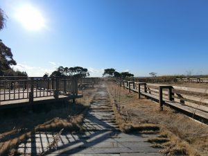 千葉県いすみ市岬町和泉の不動産、ドッグラン併設キャンプ場、広大な土地、別荘用途、太東埼灯台下のキャンプ場