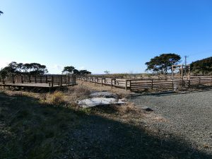 千葉県いすみ市岬町和泉の不動産、ドッグラン併設キャンプ場、広大な土地、別荘用途、ドッグランも併設です
