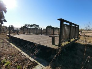 千葉県いすみ市岬町和泉の不動産、ドッグラン併設キャンプ場、広大な土地、別荘用途、これはトレーラー用デッキ