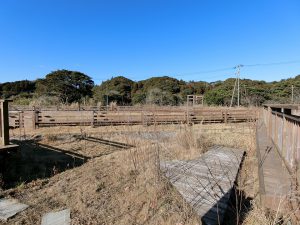 千葉県いすみ市岬町和泉の不動産、ドッグラン併設キャンプ場、広大な土地、別荘用途、自然溢れる好環境ですね