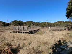 千葉県いすみ市岬町和泉の不動産、ドッグラン併設キャンプ場、広大な土地、別荘用途、トレーラー用サイト４か所