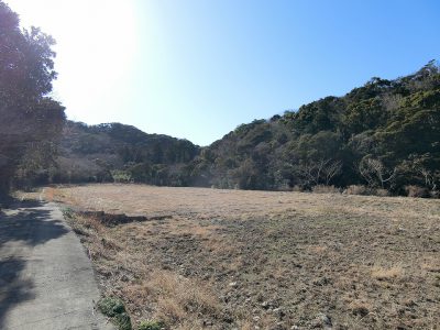 超広大売山林 館山市大神宮 541397㎡(163772.59坪) 9000万円 サムネイル画像1