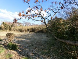千葉県館山市犬石の不動産、土地、平砂浦、広い土地、敷地周りを見てみます