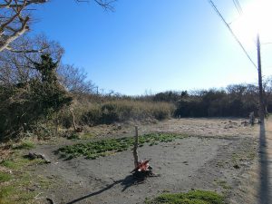 千葉県館山市犬石の不動産、土地、平砂浦、広い土地、北側の一部はきれいな状態