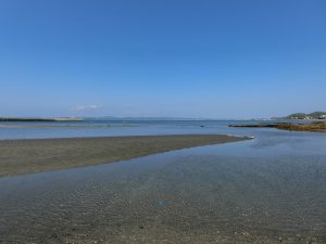 千葉県館山市波左間の不動産、海前の土地、オーシャンビュー、フラワーライン沿い、日々変わる美しい海の景色