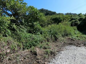 千葉県館山市坂田の不動産、土地、海前物件、海っぺり、海一望、西側からも見てみました
