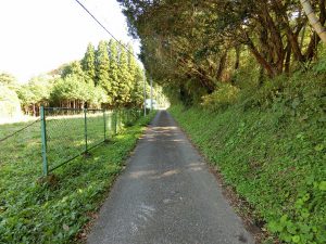 千葉県君津市加名盛の不動産、土地、広い土地、田舎暮らし、これは好きなこと出来るな