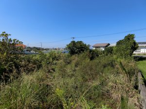 千葉県館山市坂田の不動産、土地、海前物件、海っぺり、海一望、雑草越しに海が見えるわ