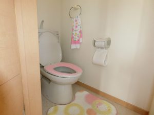 千葉県鴨川市大川面の不動産、戸建て、離れ、田舎移住、もちろんトイレも完備です
