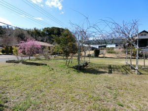 千葉県館山市神余の不動産、東虹苑別荘地、広い庭の物件、平家別荘、家庭菜園、気持ちがホッとする
