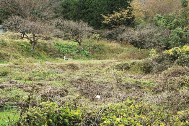 千葉県館山市の不動産、建築可能な土地