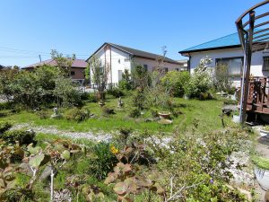 千葉県南房総市千代の不動産、旧三芳村の平家住宅、庭付き、適度な庭が魅力的です