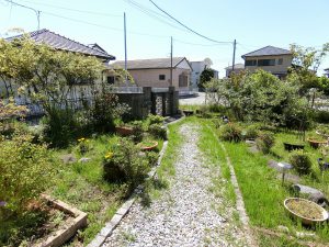 千葉県南房総市千代の不動産、旧三芳村の平家住宅、庭付き、外に出てきました