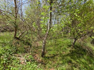 千葉県鴨川市南小町の不動産、ログハウス付き土地、ポツンと一軒家、別荘、山林、ここは元棚田のようです