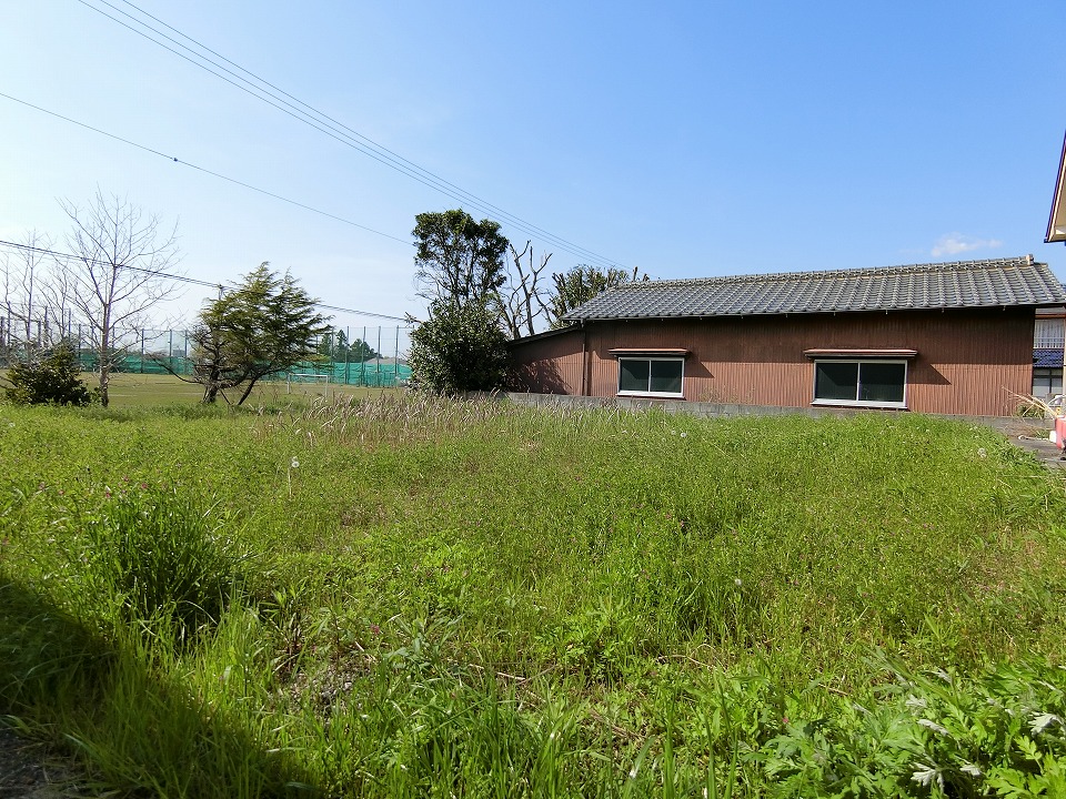 サムネイル画像