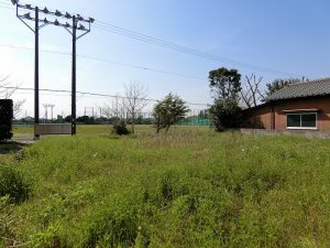 千葉県館山市上野原の不動産、土地、移住用地、開放感ありますね