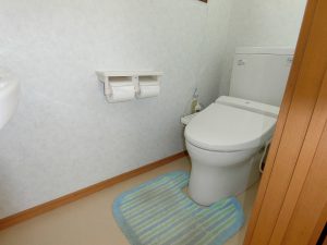 千葉県館山市坂田の不動産、戸建て、海が近い、海が見える物件、玄関側に戻りトイレです