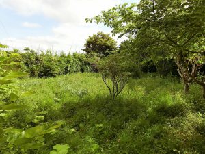 千葉県南房総市千倉町平磯の不動産、戸建て、海が見える別荘、キレイにしたら見違えます
