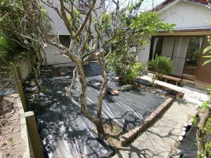 千葉県館山市塩見の不動産、中古戸建て、移住用途、少しの庭遊びも可能ですね
