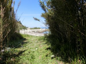 千葉県館山市坂田の不動産、戸建て、海が近い、海が見える物件、約５０ｍほど歩くと