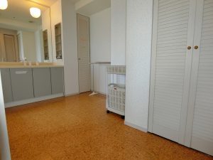 リゾートマンション鴨川グランドタワー、続いて洗面ルーム