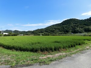 安房郡鋸南町中佐久間の中古住宅、心安らぐ田舎の環境ですね