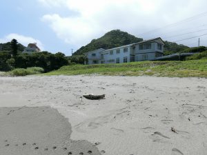 館山市坂田の海前物件、今度は海岸に来ました