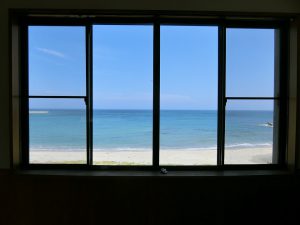 館山市坂田の海前物件、窓からは南国のような景色