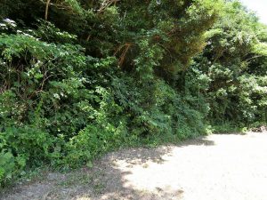 館山市神余の売り土地、東虹苑別荘地内、開拓しても面白いかも
