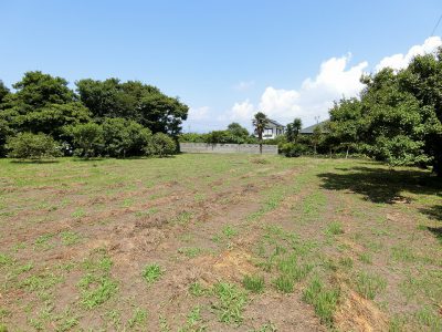 古家付海浜売地 館山市波左間 1645.95㎡（497.89坪） 4000 サムネイル画像1