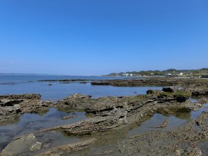 館山市波左間、海岸近くの広い土地、この海岸までは歩いて３分